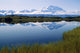 Mt Mckinley Reflected In Tundra Pond Denali Np Ak Wall Mural
