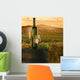 the vine with vineyard on background Wall Mural