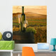 the vine with vineyard on background Wall Mural