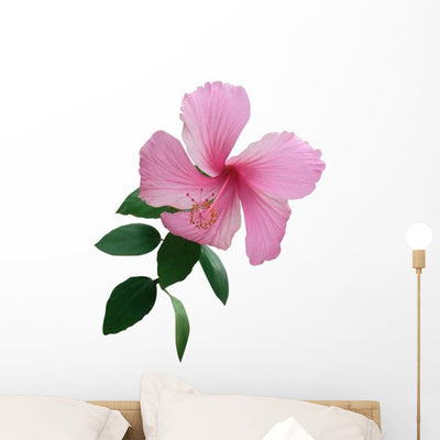 Hawaiian Hibiscus Flower Wall Decal shown on a wall