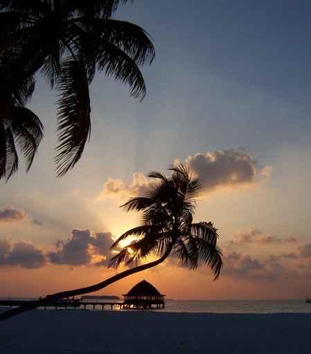 Maldivian Sunset Wall Decal