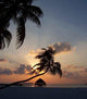 Maldivian Sunset Wall Decal