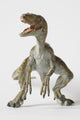 Velocirraptor