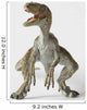 Velocirraptor