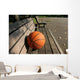 Orange Basket-ball Ball Bench