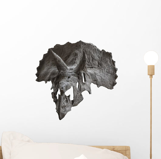 Skull Dinosaur Triceratops White Front View Wall Decal