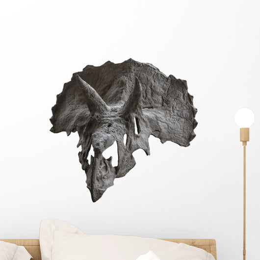 Skull Dinosaur Triceratops White Front View Wall Decal