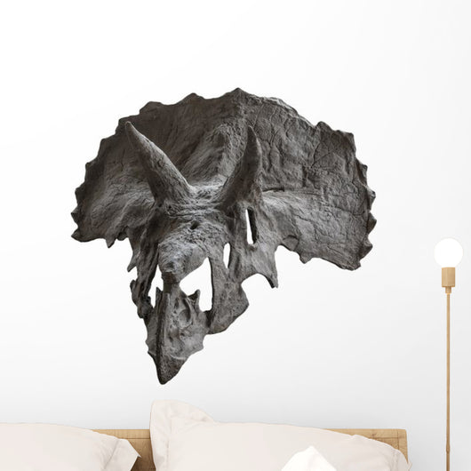 Skull Dinosaur Triceratops White Front View Wall Decal