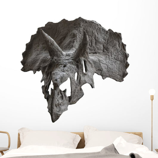 Skull Dinosaur Triceratops White Front View Wall Decal