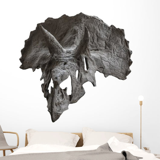 Skull Dinosaur Triceratops White Front View Wall Decal