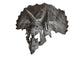Skull Dinosaur Triceratops White Front View Wall Decal