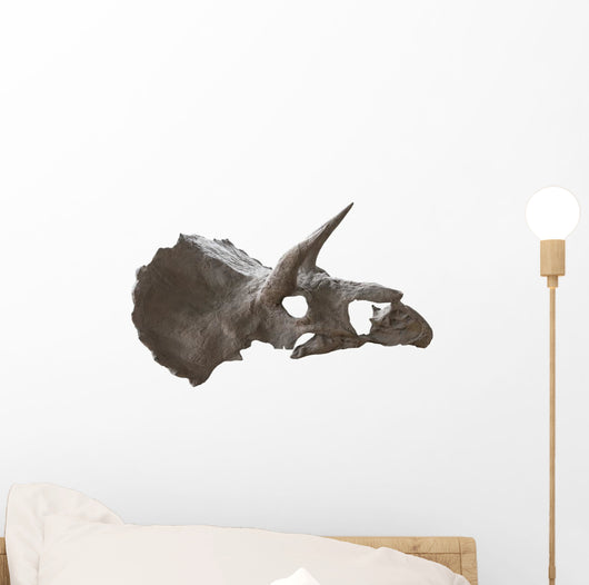 Skull Dinosaur Triceratops White Right View Wall Decal