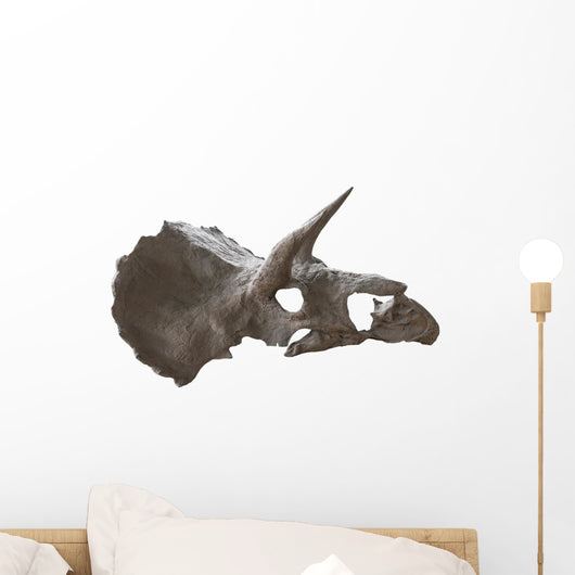 Skull Dinosaur Triceratops White Right View Wall Decal