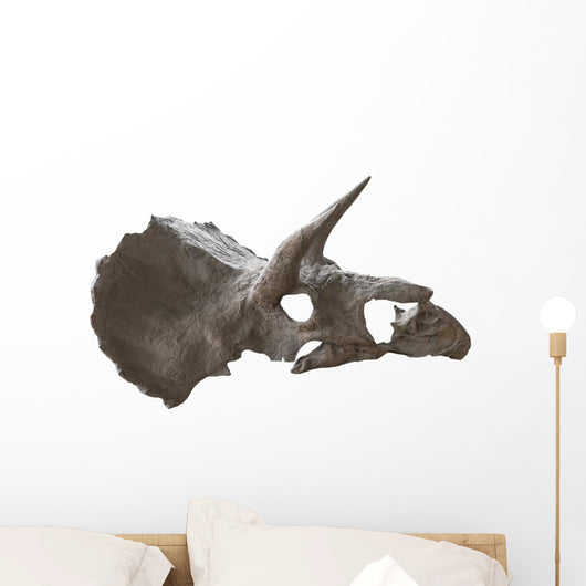 Skull Dinosaur Triceratops White Right View Wall Decal