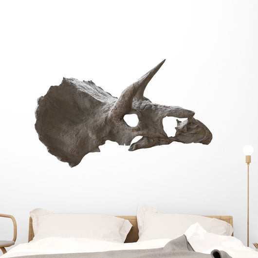 Skull Dinosaur Triceratops White Right View Wall Decal