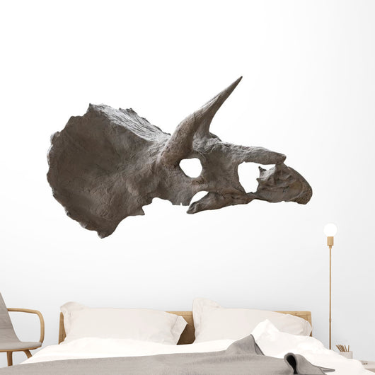 Skull Dinosaur Triceratops White Right View Wall Decal
