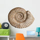 Fossil Ammonite White Wall Decal
