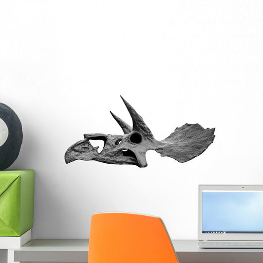 Skull Dinosaur Triceratops White Left View Wall Decal