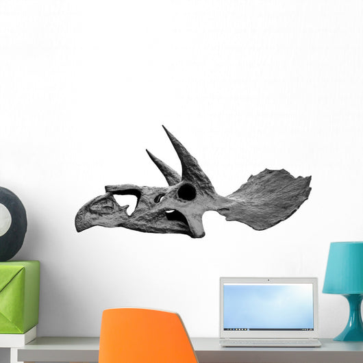 Skull Dinosaur Triceratops White Left View Wall Decal