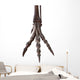 Paw Skeleton Tyrannosaur White Wall Decal