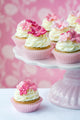 Cupcakes Wall Mural