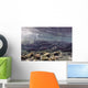 Underwater Coho Salmon Wall Decal