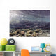 Underwater Coho Salmon Wall Decal