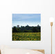 Sunflowers Raleigh Wall Decal