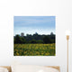 Sunflowers Raleigh Wall Decal