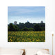 Sunflowers Raleigh Wall Decal