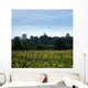 Sunflowers Raleigh Wall Decal