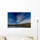 Cirrus Clouds Over Mt Mckinley @ Wonder Lake Ak In Denali Np Summer Wall Mural
