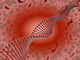 Dna Red Wall Mural