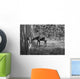 Moose Looking Through Window Anchorage Alaska Wall Mural