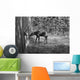 Moose Looking Through Window Anchorage Alaska Wall Mural