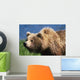 Brown Bear Portrait Mcneil River-Mikfik Creek Sw Ak Wall Mural