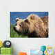 Brown Bear Portrait Mcneil River-Mikfik Creek Sw Ak Wall Mural
