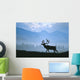 Caribou Walking Denali Nat'l Park Fog Alaska Composite Wall Mural