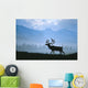 Caribou Walking Denali Nat'l Park Fog Alaska Composite Wall Mural