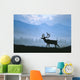 Caribou Walking Denali Nat'l Park Fog Alaska Composite Wall Mural