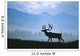 Caribou Walking Denali Nat'l Park Fog Alaska Composite Wall Mural