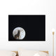 Wolf Howling At Full Moon/Ncaptive Composite Wall Mural