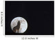Wolf Howling At Full Moon/Ncaptive Composite Wall Mural