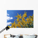 Yellow Tulips against Blue Wall Decal