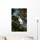 Great Egret Wall Mural