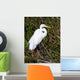 Great Egret Wall Mural