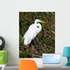 Great Egret Wall Mural