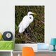 Great Egret Wall Mural