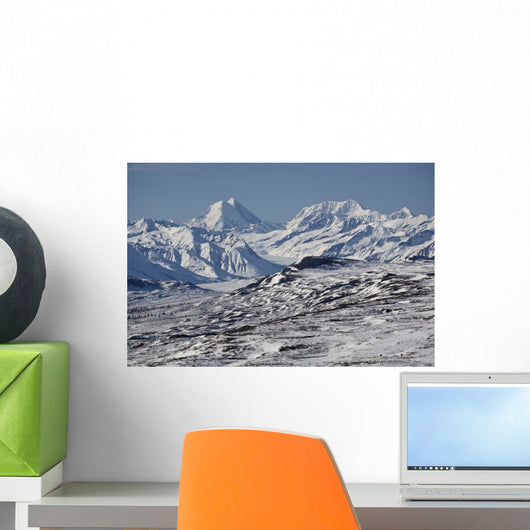 Scenic View Of Alaska Range As Seen From The Denali Highway Wall Mural