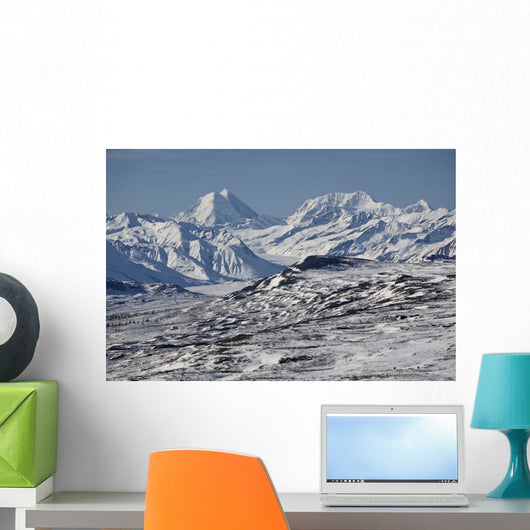 Scenic View Of Alaska Range As Seen From The Denali Highway Wall Mural